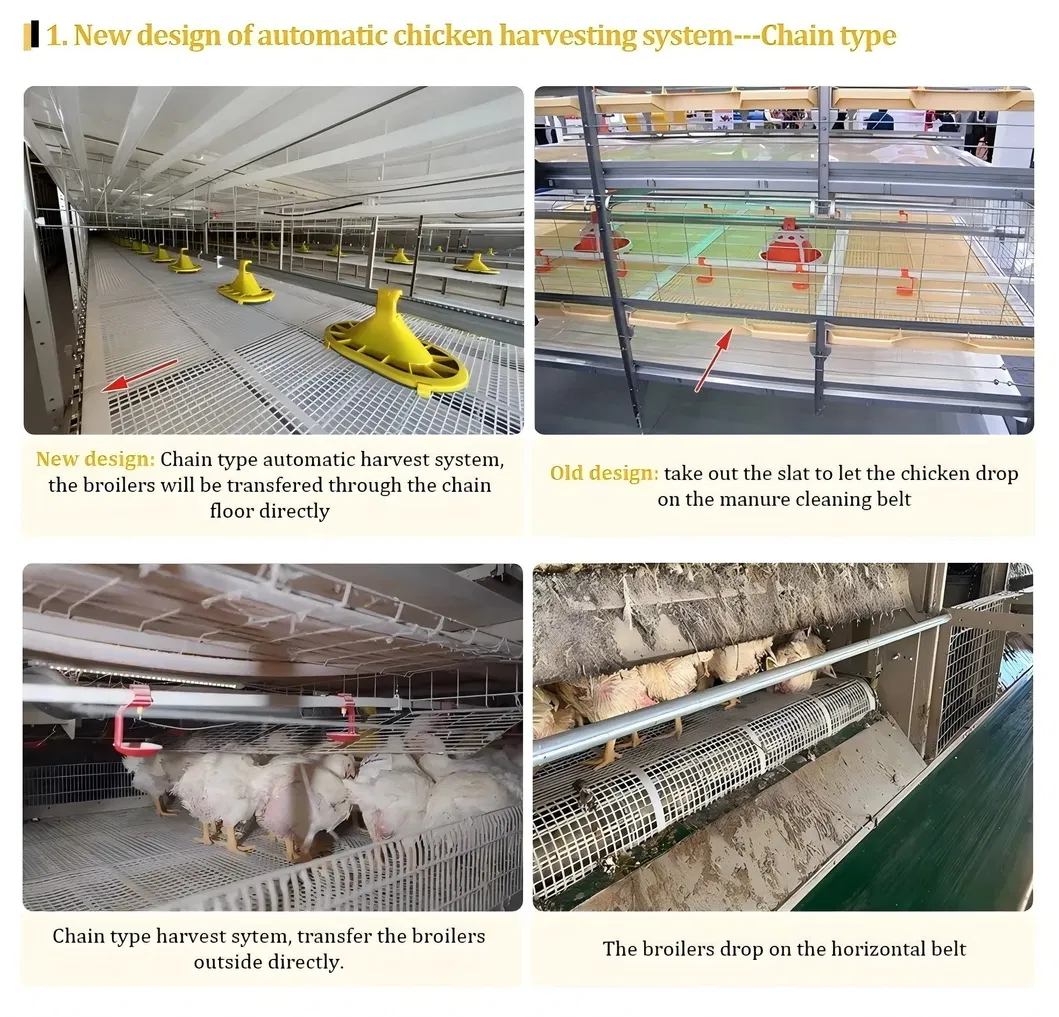 Automatic Chain Type Broiler Cage Equipment Chicken Harvest Cage For Poultry Farming