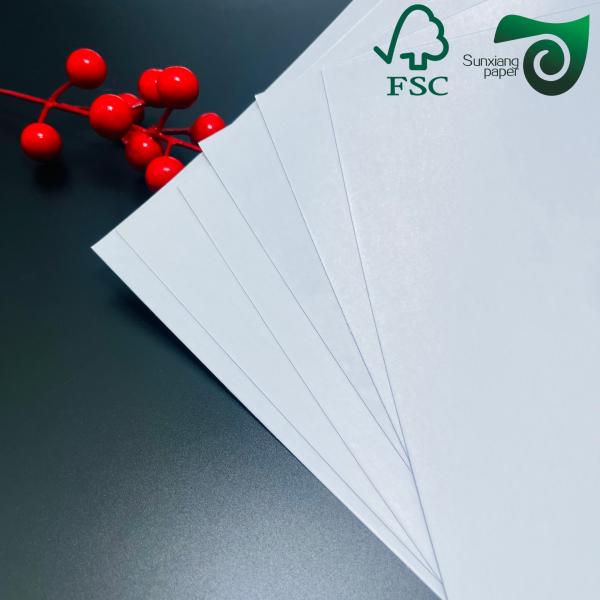25 38 Inch 100gsm C2S Silk Matte Paper  Luxuriously Smooth Ideal For Text   Covers