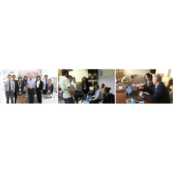 Stainless Steel/Titanium Microneedle Derma Roller 0.2-3.0mm for Skin Rejuvenation