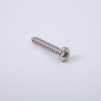 304 Phillips Round Head Screws de aço