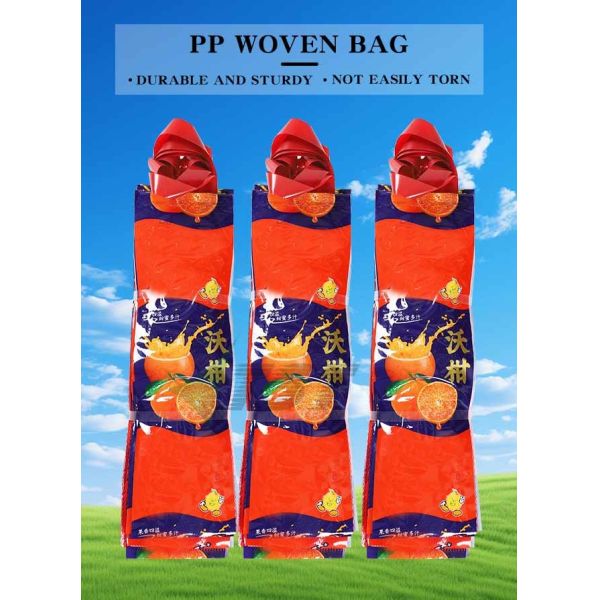 1kg 2kg Extruded Mesh Bag For Orange Packaging With Handle
