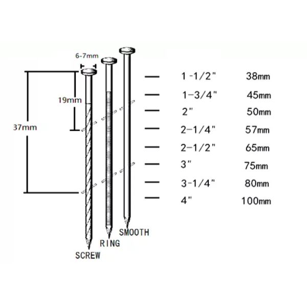катушка 50mm x 2.5mm пригвождает ровный хвостовик Q235 сваренный
