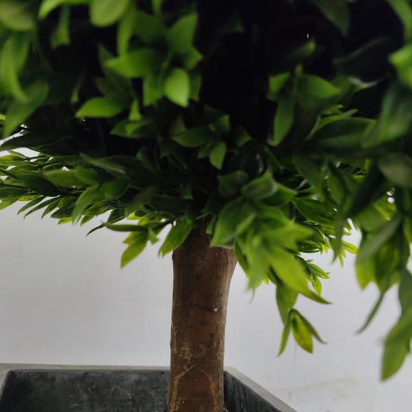 Подгонянное крытое искусственное в горшке украшение дерева Boxwood заводов пола