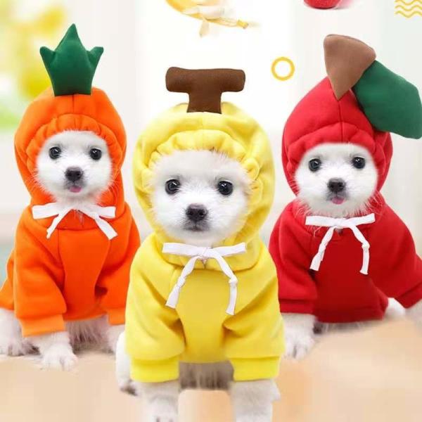 O fruto dá forma aos animais de estimação do material 1kg de pano que vestem a roupa
