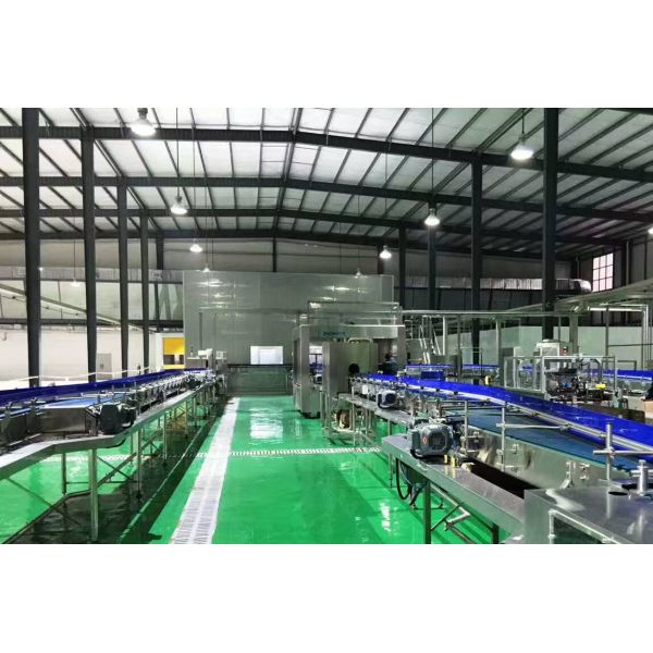 380V 3Phz Automatic Water Bottle Filling Machine Rotary Type