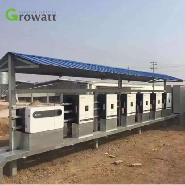 Hot Sale Growatt 50Kw 100Kw 110Kw Hybrid Solar Inverter On Off Grid For Project Application