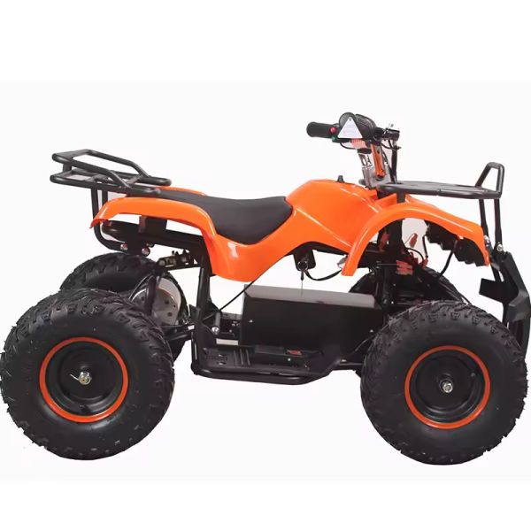 500W Mini Quad ATV for Kids 800W 1000W Electric Powered at Transmission CHAIN DRIVE
