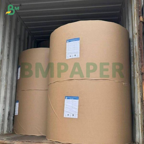 230gsm + 15PE Coated  White Cup Stock Paper For Paper cup / Bowl