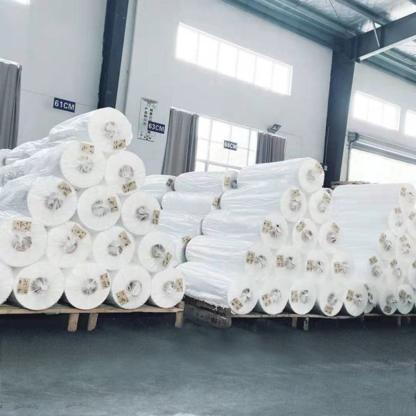 Wholesale disposable gloves, plastic gloves, biodegradable gloves, compostable gloves, bio gloves, corn starch gloves