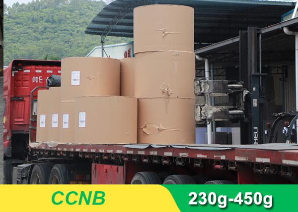 CCNB Coated Board Paper Grey Back For Making Boxes Good Stiffness