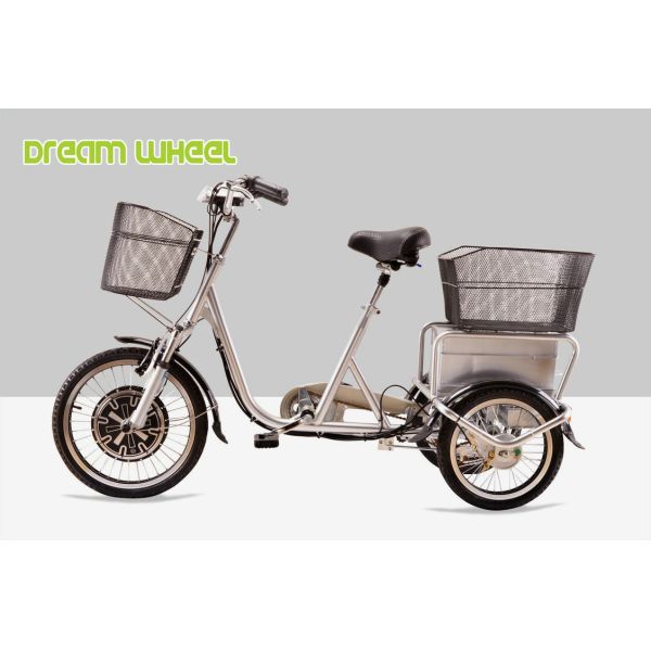 25km/H Pedal Assist Electric Trike 48V 350W Brushless Motor