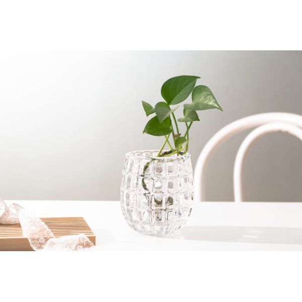 Egg Shape Home Decoration Glass Bottles 520ml Machine Made Mini Clear Glass Vases