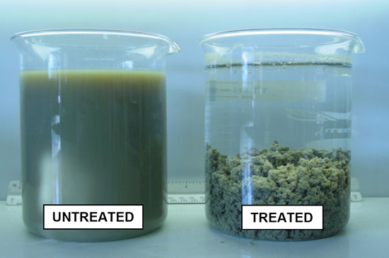 Floculante catiónico de la poliacrilamida de Blufloc del polímero de la floculación para el tratamiento de aguas residuales