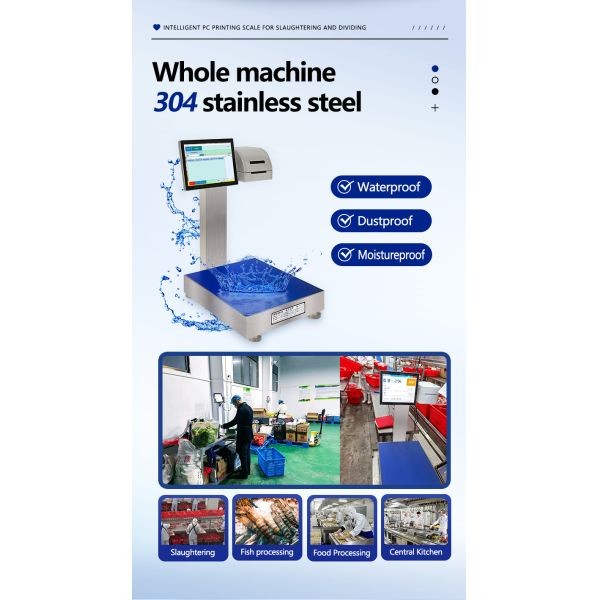 12V/5A SOHE 30KG 450*600mm Windows System Smart Weighing Scale with Weight Function