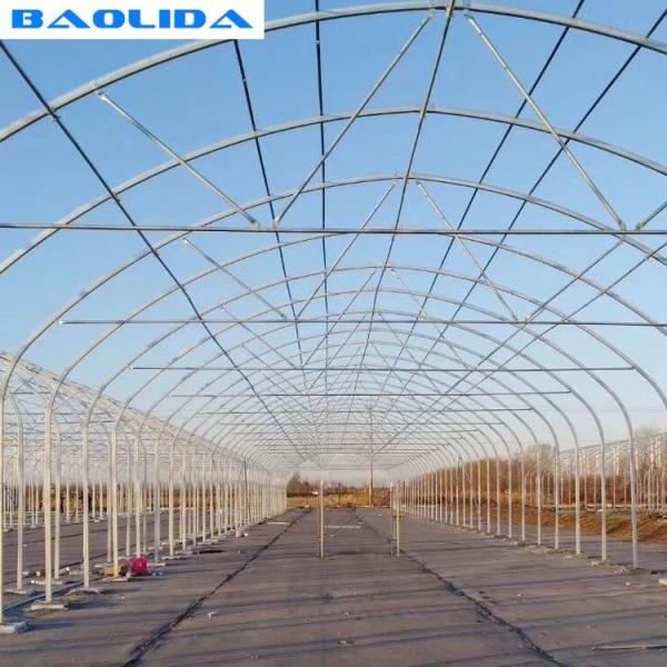 Armação de aço alta agrícola da estufa da barraca da aro para o crescimento do tomate