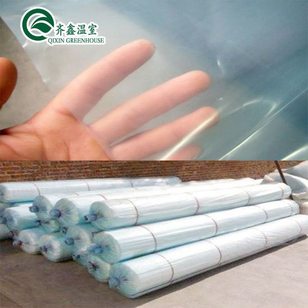 Large Steel Greenhouse Structure Shed Design With 150/200micro PE Film Covering