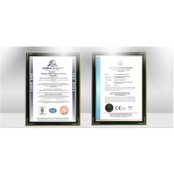 PVC AL or AL AL or AL PVC AL Tropical Blister Packing Machine DPP-250F