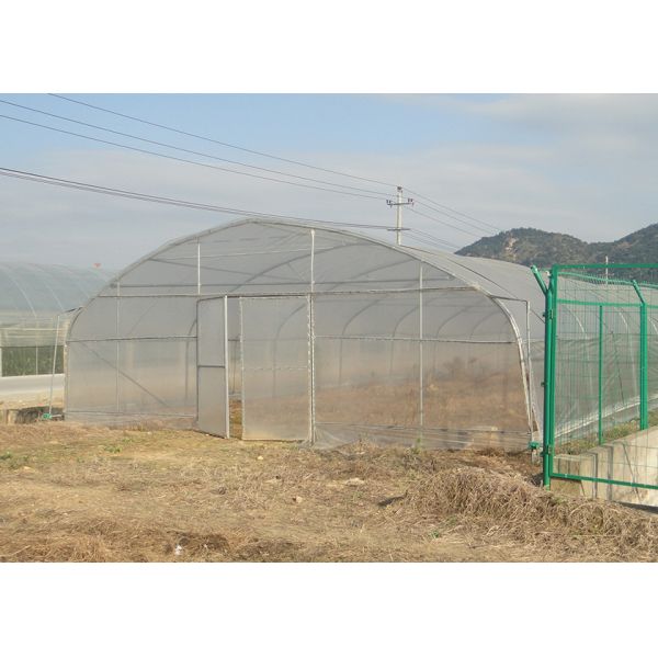 Terrasse Agricole Poly Tunnel Serre Serre chauffée pour les plantes