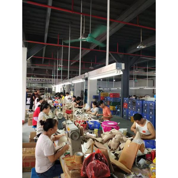 Dongguan Chenzhou Trading Co., Ltd.