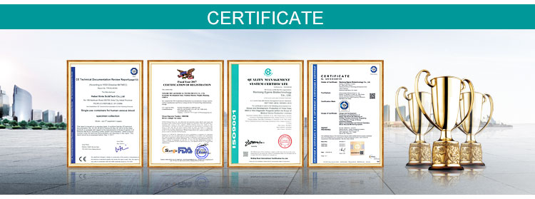 Dimmable Daylight Light Therapy Lamp OEM ODM Daylight Lamp With Timer