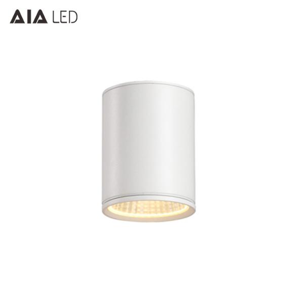 20W DALI dimmable surface mounted downlight&outdoor downlight&led IP65 outdoor downlight for outside used