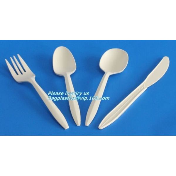 5.5 inch BPA FREE Spork Biodegradable Plastic PLA Fork Spoon Combination Corn