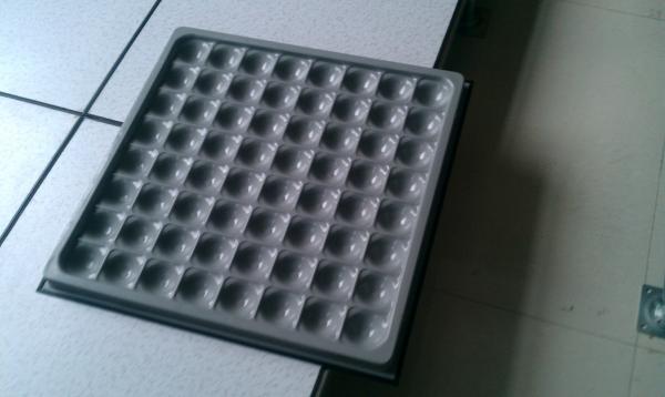 Fireproof, waterproof, dustproof and Anti Static Raised Floor 600X 600X 35 mm