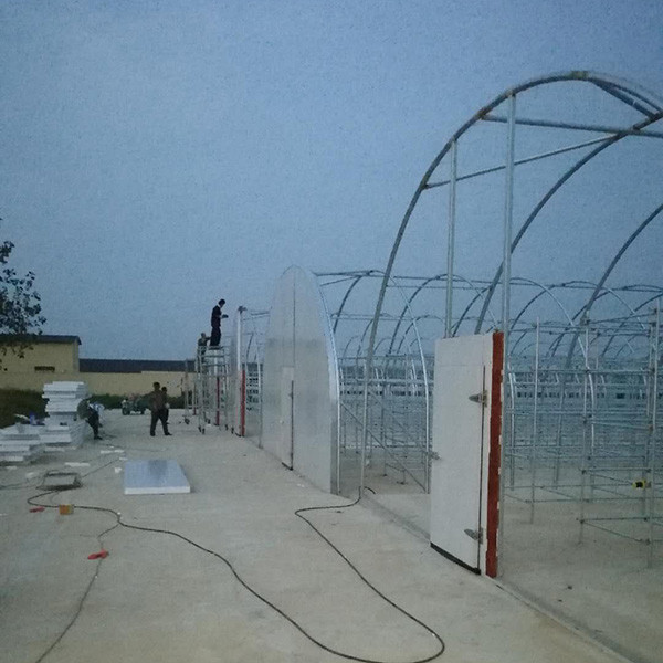 Durable Cold Resistant Outdoor Mushroom Greenhouse With Excellent Insulation