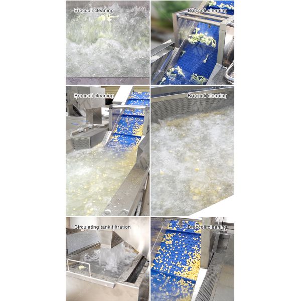 Cleaning processing production Machine Vortex vegetable washing machine red beans  mung beans  green peas beans canning Potato  Potatoes and round tuber crops Carrots and longitudinal root vegeta