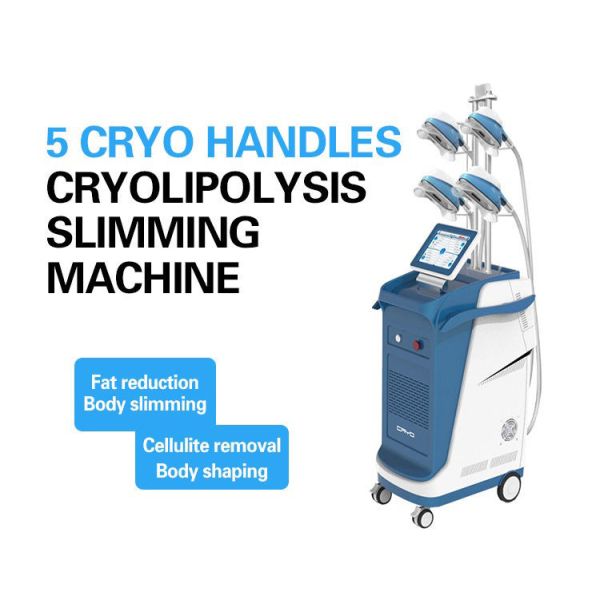 RF 360 Cryolipolysis Slimming Machine 800W Cryo Slim Shaper