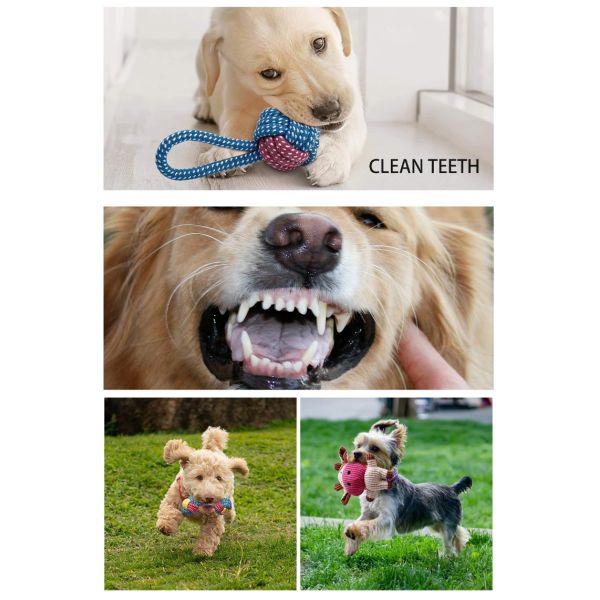 Cat Sound Plush Toy Set Silicone Rope Interactive Plush Dog Toys