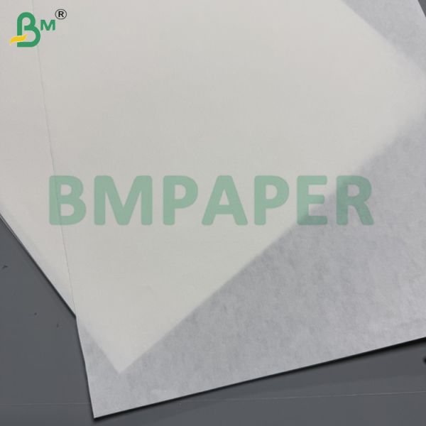 White Chick Rearing Paper Chicken Paper For Poultry Farming 66cm 100cm