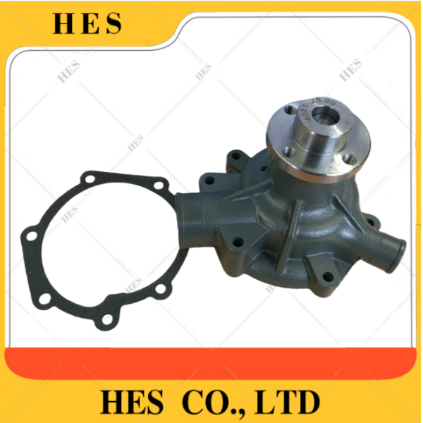 1000054021 WATER PUMP WP6