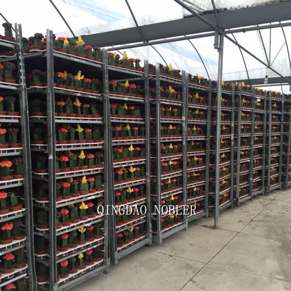 Vente de fleurs logistique bonne aide standard contenant danois matériau en maille métallique chariot à fleurs