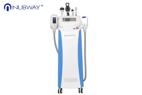 Newest design CE / FDA approved 5 cryo handles non surgical vertical body shaper slimming machine