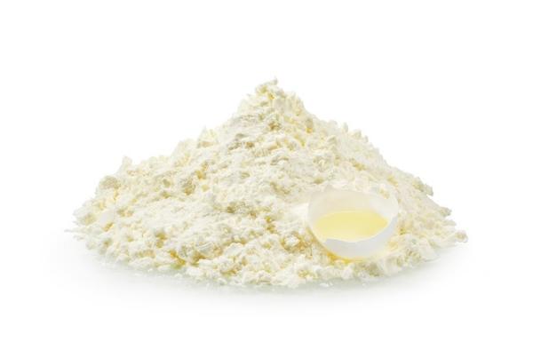 Poudre de protéine de blanc d'œuf de qualité alimentaire OEM 25 kg EINECS n° 232-554-6