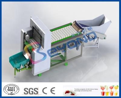 Equipamento da trasformação de frutos do descaroçador do fruto para a usina do suco