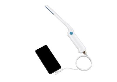 Endocavitary Probe Universal Vet Ultrasound Machine 80 Element