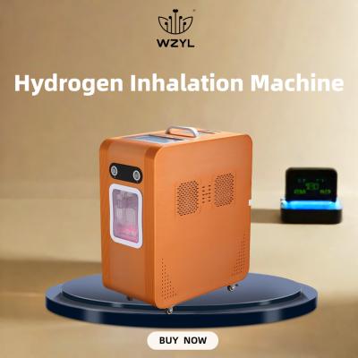 AC220V Hydrogen Oxygen Inhaler Hydrogen Inhaling Machine 3000ml/M