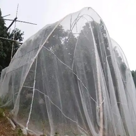 Anti Garden Netting Fine Mesh Crops Protection Netting