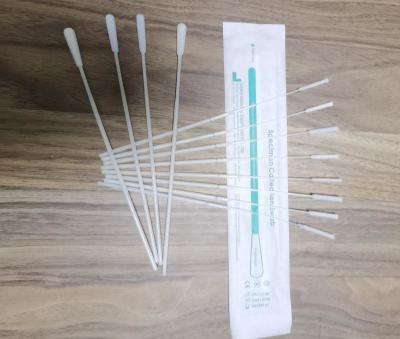 Coronavirus Sample Collection Nasal Nasopharyngeal Oral Oropharyngeal Swab