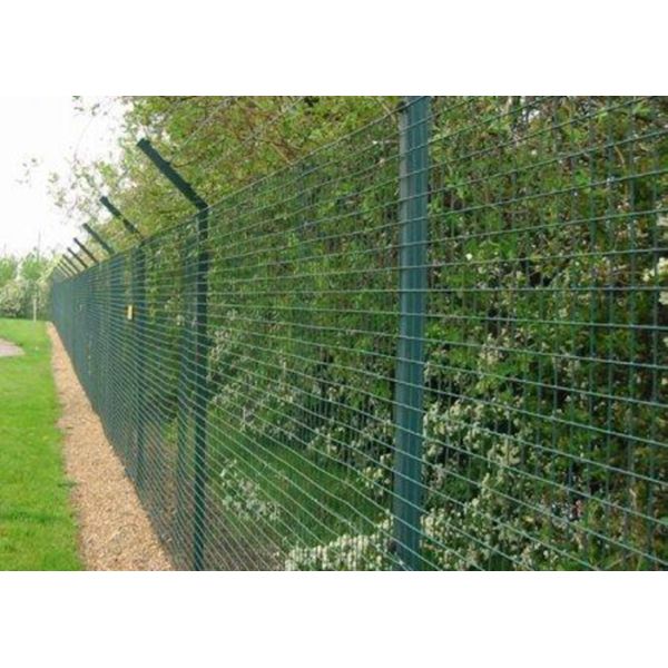 Multicolor Galvanized Farm Mesh Fencing For Fruit Trees Planting