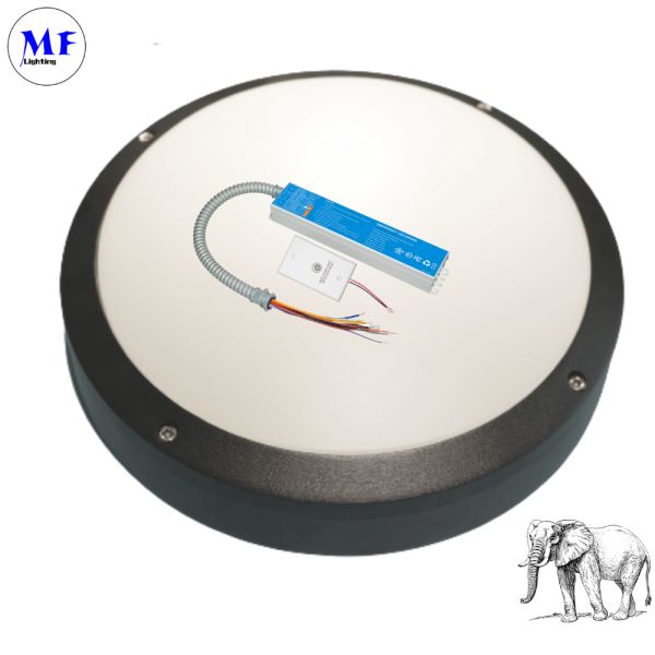 IP40 15W LED Emergency Battery Pack Panic Light Ballast LED Emergency Driver For Down Light Ceiling Light