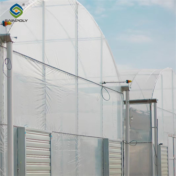 Serre en acier galvanisé de 30 m/50 m/60 m de longueur Serre à longue portée