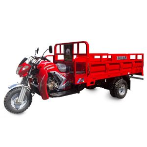 Раскройте тип загрузку мотоцикла 1000kg груза колеса 300CC 3