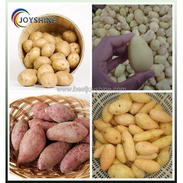 Stainless Steel Peeling And Cutting Machine For Industrial Fruit And Vegetable Processing