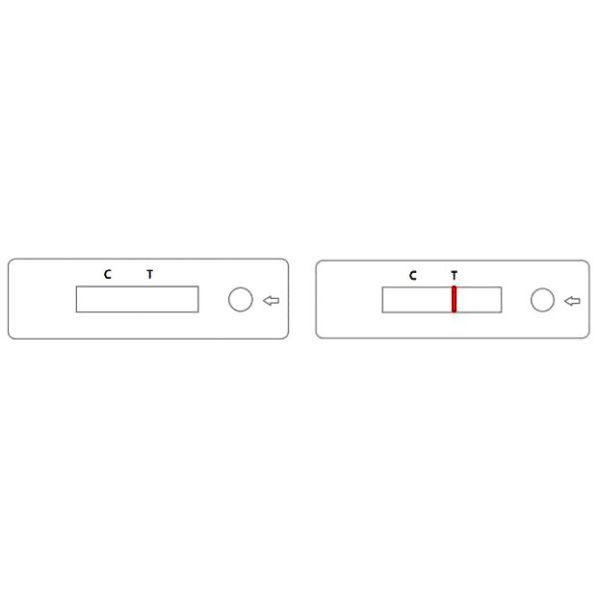 Один тест удобное TS20201201 антигена раздела 5 мельчайший аттестовал