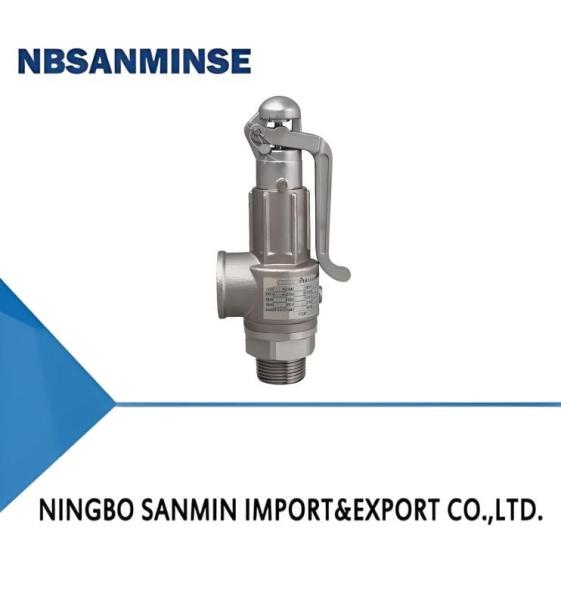 Stainless Steel Safety Valve 65bar Spring Loaded A21 Series