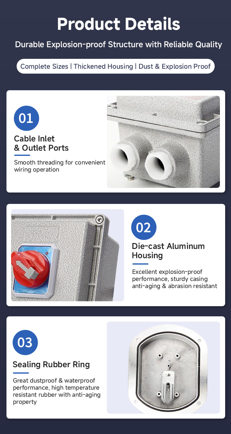 Square Double Pole Explosion-Proof Circuit Breaker IP65 Ex Db Eb Iib T6 6ka Surface Mount AC220/380V Industrial Use

