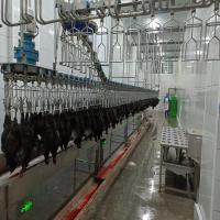 Máquina de abate de aves de capoeira de alta produtividade Equipamento automático de abate de frangos